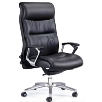 EXECUTIVE LEATHER CHAIR - CODE: COIA-43-33