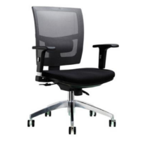 MESH BACK OFFICE CHAIR - CODE: DY750 C-2